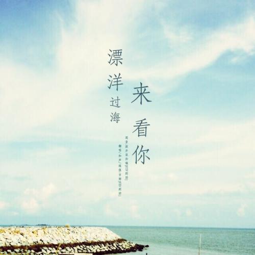 飘扬过海来看你-落雪满苍穹