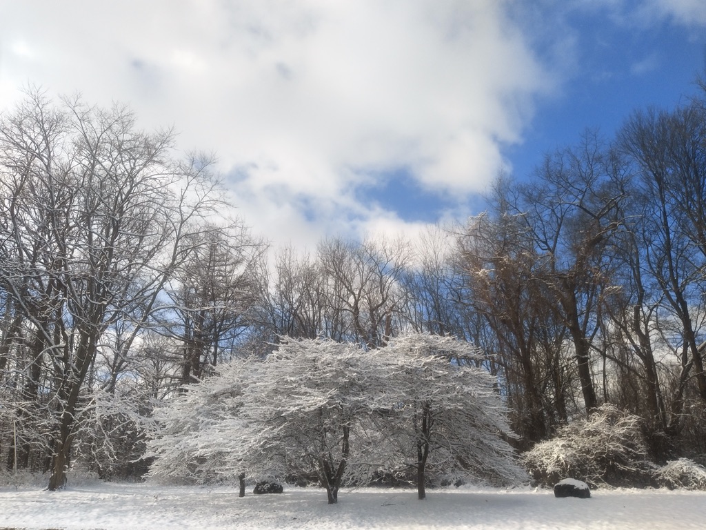 走走停停-落雪满苍穹